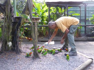 Jardin botanique