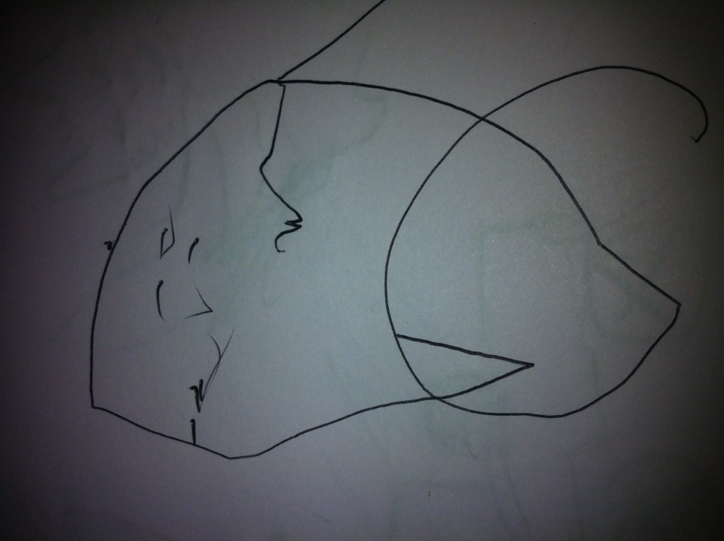photo (2)