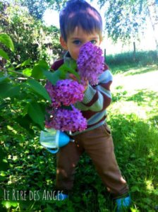 Lilas