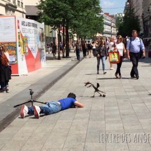 Photographe