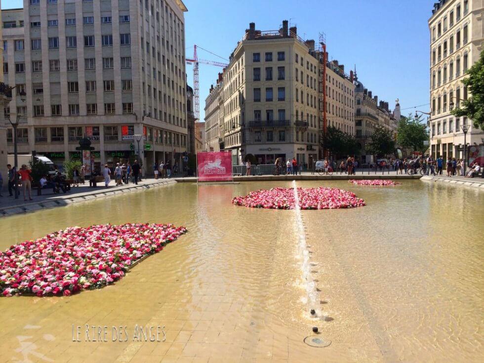 Le Festival de la Rose, Lyon