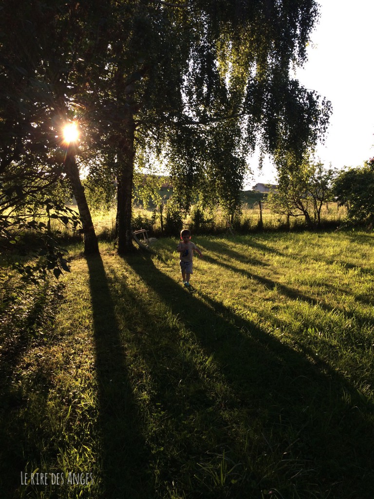 Jardin