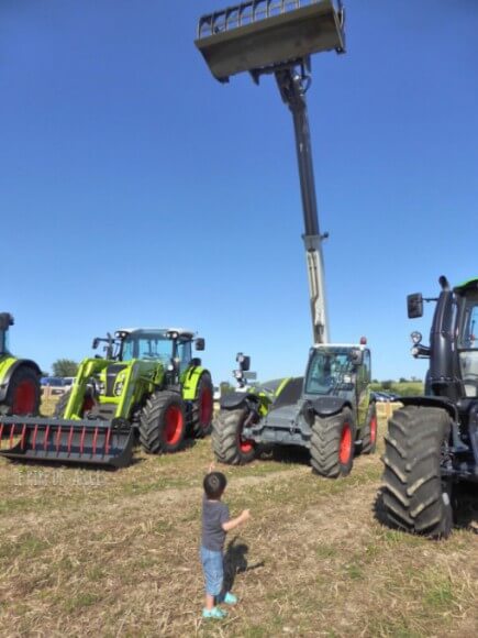 concours départemental d elevage