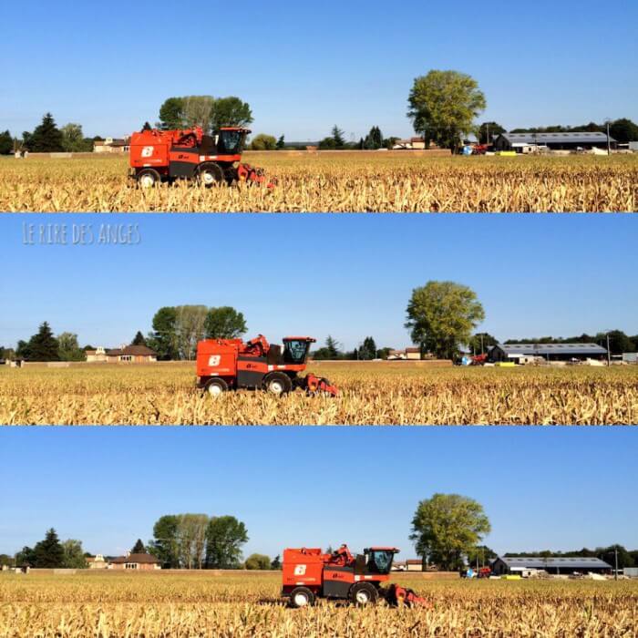 Agricole