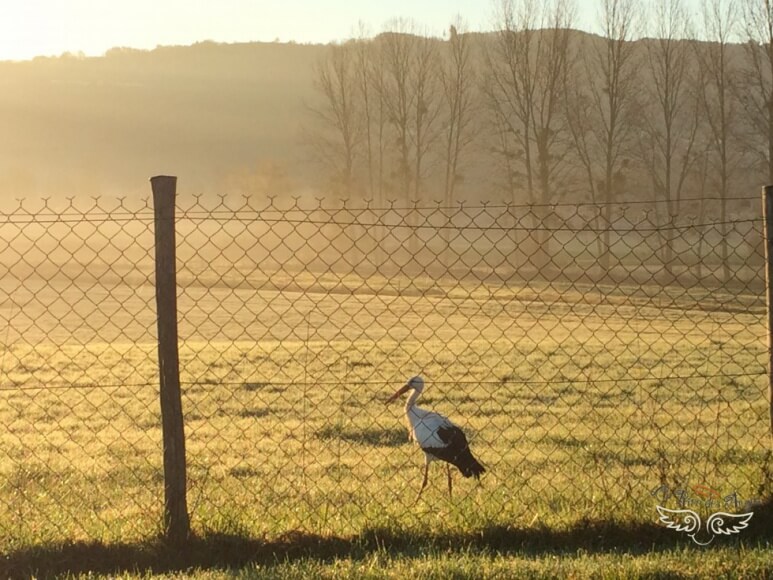 #23 Ma semaine en image