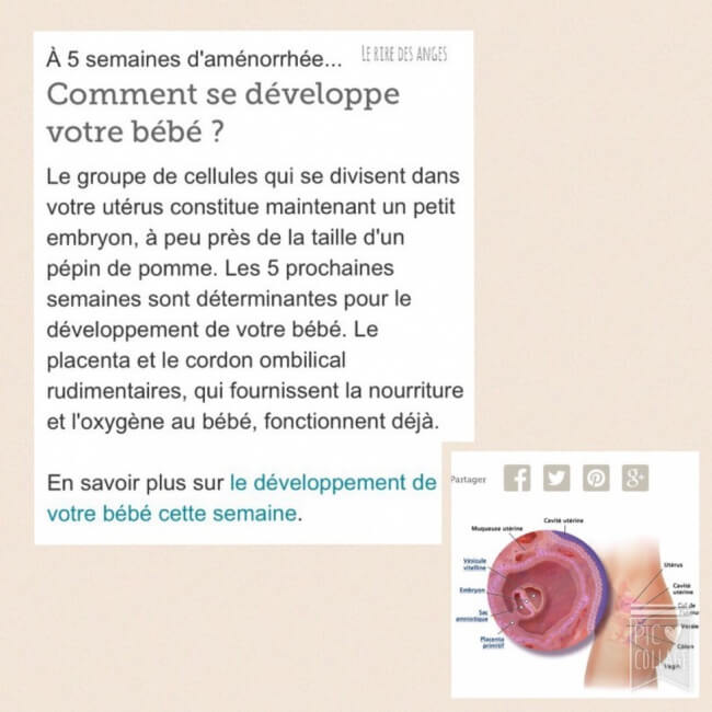 Enceinte, tout ce que tu veux savoir sur ton bébé