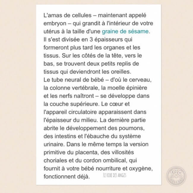 Enceinte, tout ce que tu veux savoir sur ton bébé
