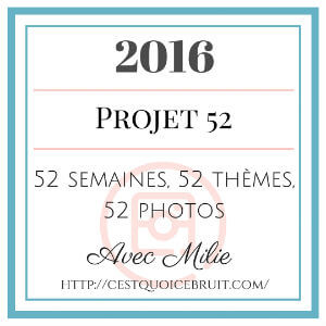 #2016projet 52