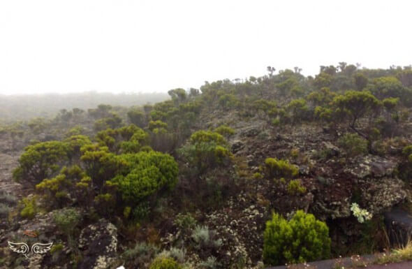 Le Piton de la fournaise