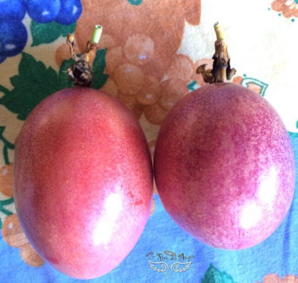 Les fruits de la Réunion