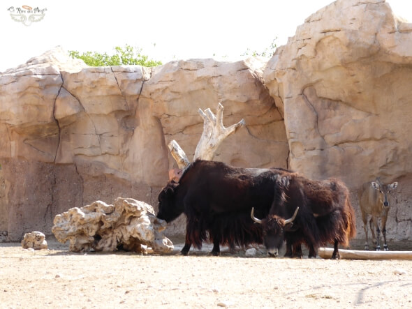 Terra Natura