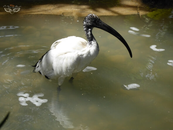 Terra Natura