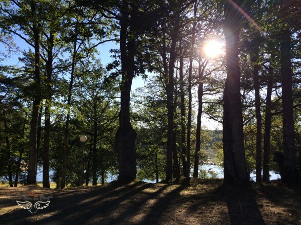 lac saint etienne cantales