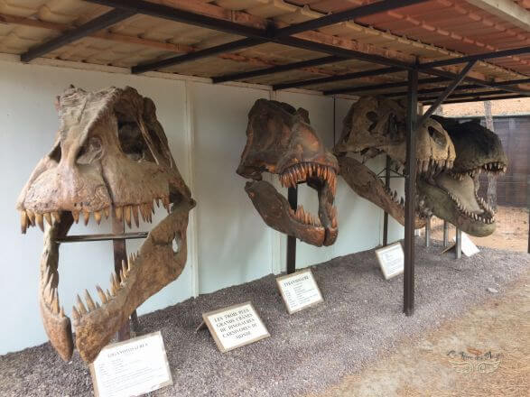 musee parc des dinosaures
