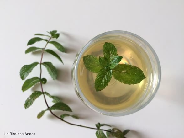 sirop de menthe fait maison