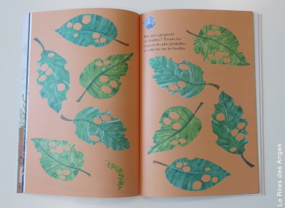 insectes autocollants