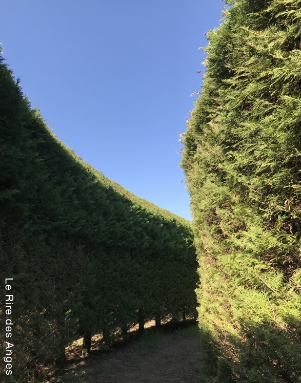 sentier pieds nus et labyrinthes