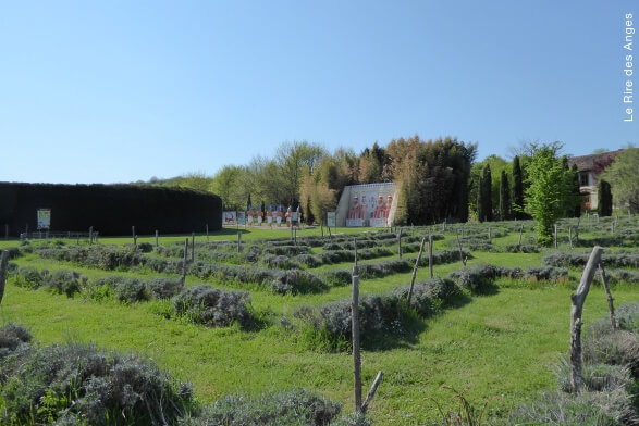 sentier pieds nus et labyrinthes