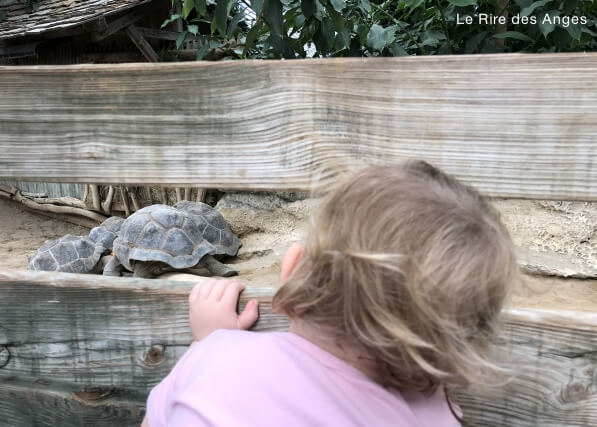 ferme crocodiles