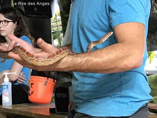 ferme crocodiles